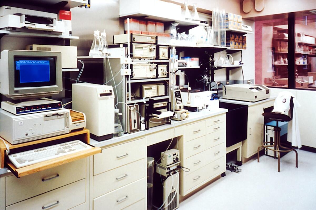 The Application of Stable Isotope Analysis in Archaeology